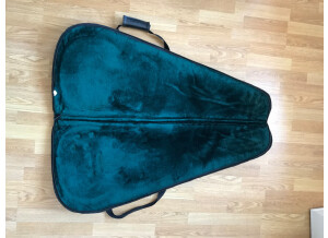 Gibson Universal Style Cordura Gig Bag