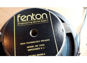Fenton NS12250