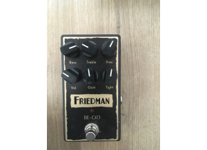 friedman 1