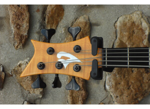 Vigier Arpège 5 cordes