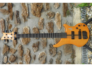 Vigier Arpège 5 cordes