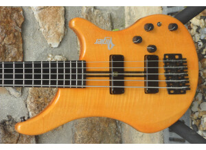 Vigier Arpège 5 cordes