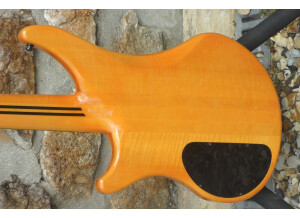 Vigier Arpège 5 cordes