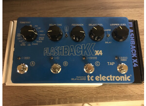 TC Electronic Flashback x4 (4184)