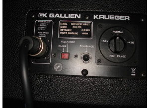 Gallien Krueger Neo 210