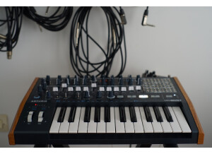 DSC06579 (Large).JPG