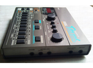 Korg Ddm-110 (79983)