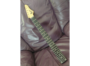 Vigier Excalibur Original