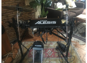 Alesis DM5 Pro Kit Surge Cymbals (3597)