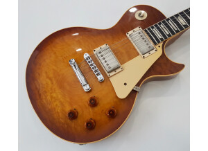 Gibson Les Paul Standard Heritage Elite 80 (5999)