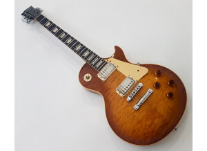 Gibson Les Paul Standard Heritage Elite 80 (51851)