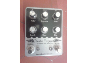 EarthQuaker Devices Disaster Transport (4948)