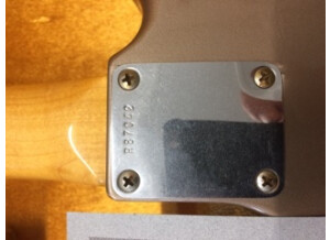 69756004_383696089195717_1394282547629785088_n