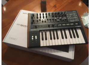 Arturia MiniBrute 2 (42251)