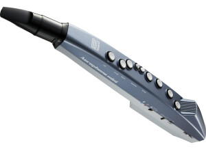 aerophone_mini_left_angle_2_gal