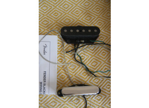 Fender Custom Shop Blackguard Telecaster Pickup Set