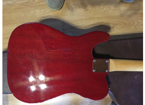 Godin Acousticaster LR Baggs (16505)