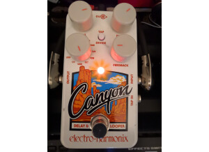 Electro-Harmonix Canyon (76001)