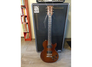 Gibson The Paul Firebrand (87437)
