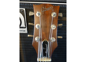 Gibson The Paul Firebrand (67157)
