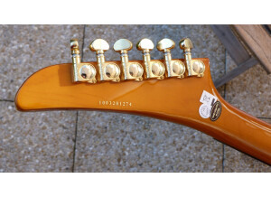 Epiphone explorer korina 1958