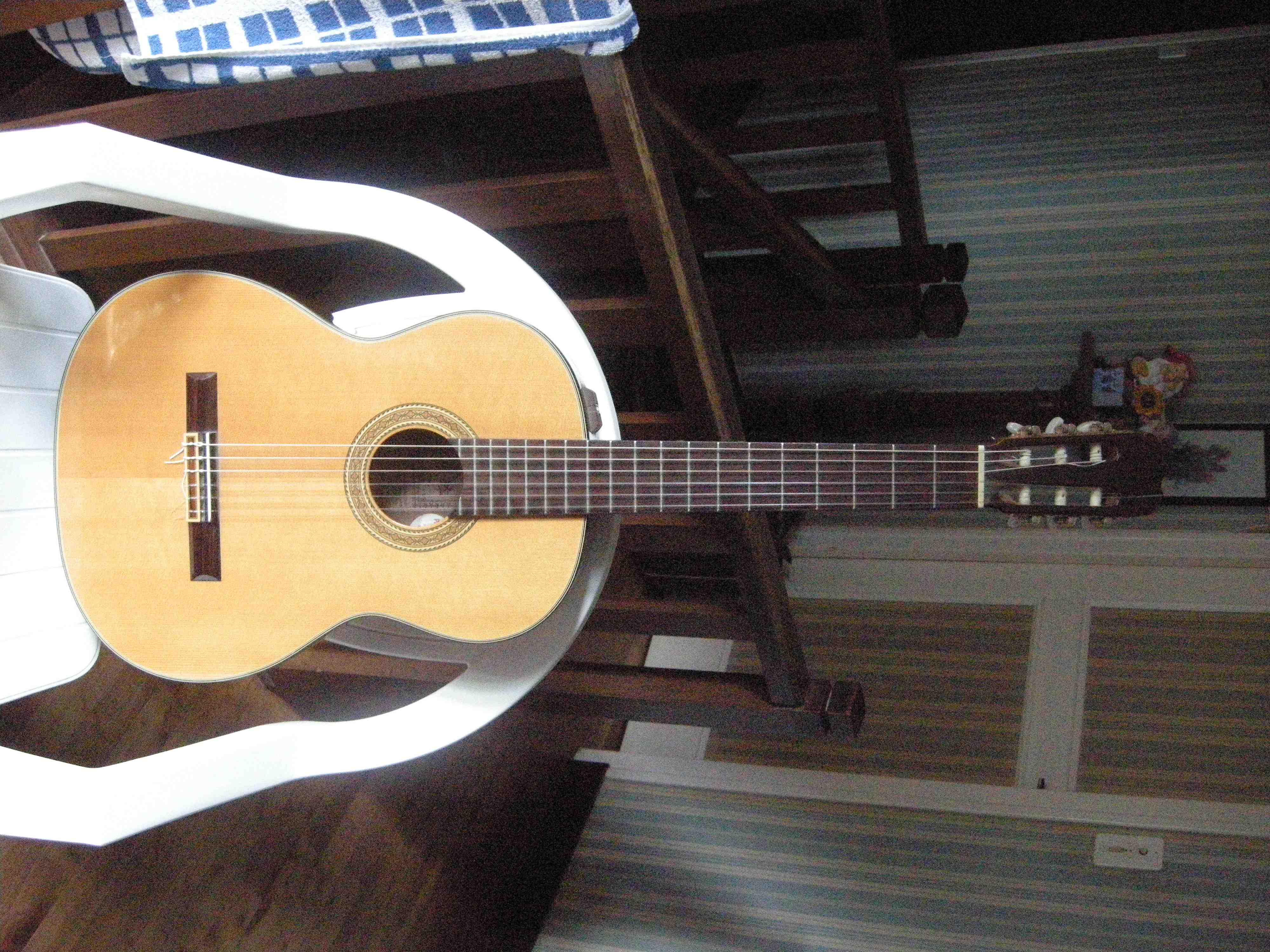 Takamine EC 128