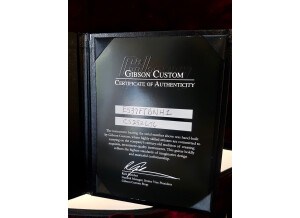 Gibson ES-339 30/60 Slender Neck (58009)