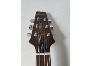 Aria Pro II ThorSound TS-300 (573)