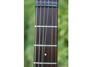 Music Man LIII (95519)