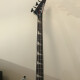 X Signature David Ellefson Concert Bass CBX V X Signature David Ellefson Concert Bass CBX V