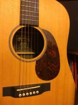 Martin & Co DX1RAE