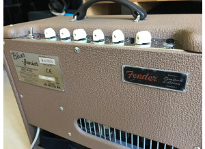 Fender Blues Junior (81408)