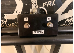 Musitronics Corp. Mu-Tron Bi-Phase (47752)