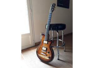 Godin Icon Type2 Convertible (93465)