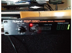 Roland RSP-550 (29116)