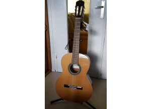 Alhambra Guitars 2C (81844)