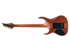 Solar Guitars S1.6 PP - Poplar Purple Burst Matte