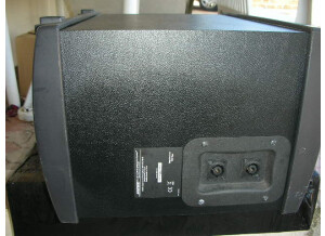 Bose A1 PackLite Amplifier (81352)
