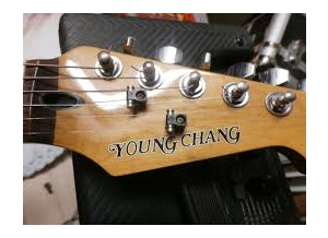 Young Chang Stratocaster
