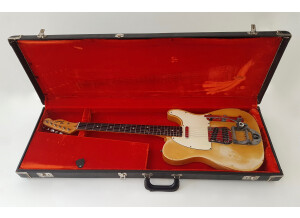 Fender Telecaster (1969) (55758)