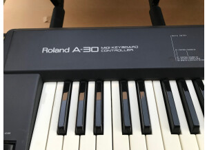 Roland A-30 (13316)