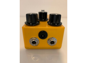 Ampeg Opto Comp (33821)