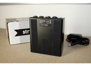 Strymon Flint (7295)