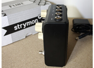 Strymon Flint (23838)