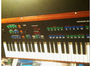 Rhodes Chroma (12625)