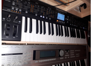 Behringer DeepMind 12 (21364)