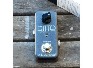 TC Electronic Ditto Looper (44517)