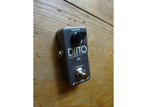 TC Electronic Ditto Looper (37775)