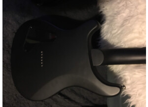 PRS SE Mark Holcomb 2017 Limited Edition (92479)