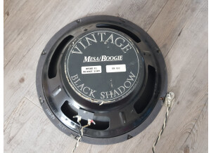 Mesa Boogie Black-shadow MS-12